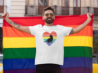 Gay pride lgbtq shirt cat heart 